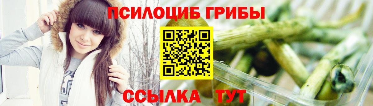 Галлюциногенные грибы MAGIC MUSHROOMS Вологда